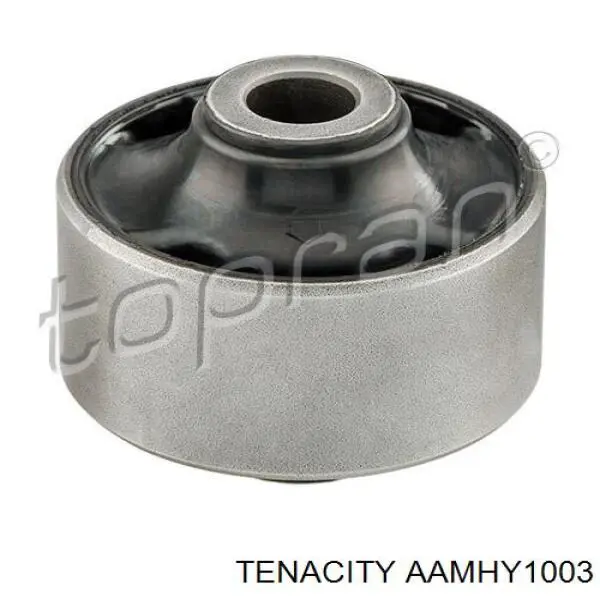 Compre AAMHY1003 Tenacity Bloco silencioso dianteiro do braço oscilante inferior
