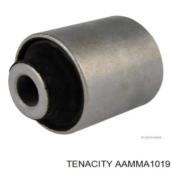 AAMMA1019 Tenacity Bloco silencioso dianteiro do braço oscilante inferior