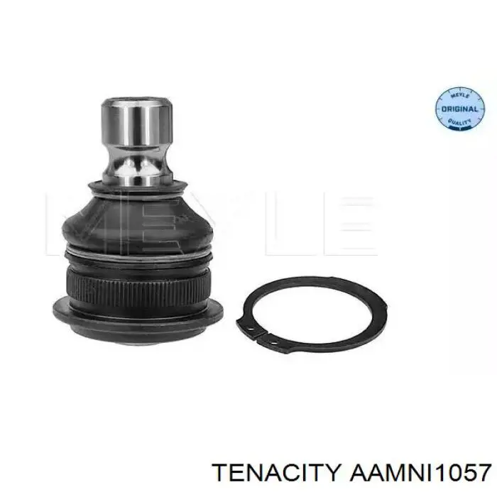 AAMNI1057 Tenacity Bloco silencioso dianteiro do braço oscilante inferior