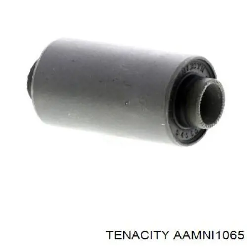 Compre AAMNI1065 Tenacity Bloco silencioso dianteiro do braço oscilante inferior