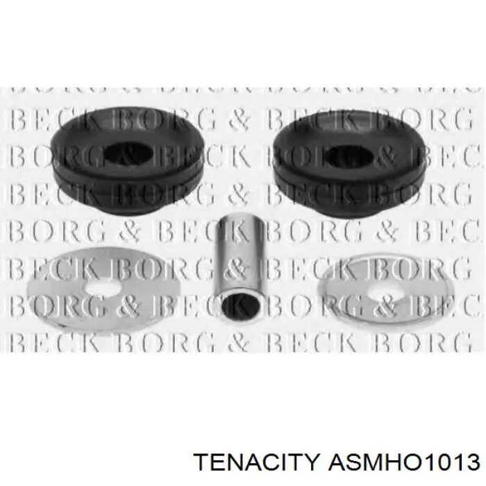  Tenacity ASMHO1013