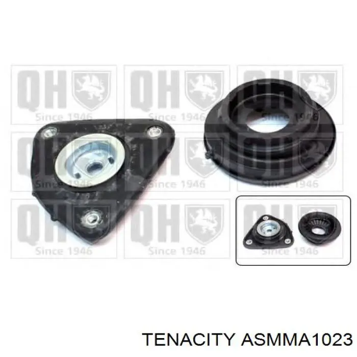 Suporte de amortecedor dianteiro ASMMA1023 Tenacity