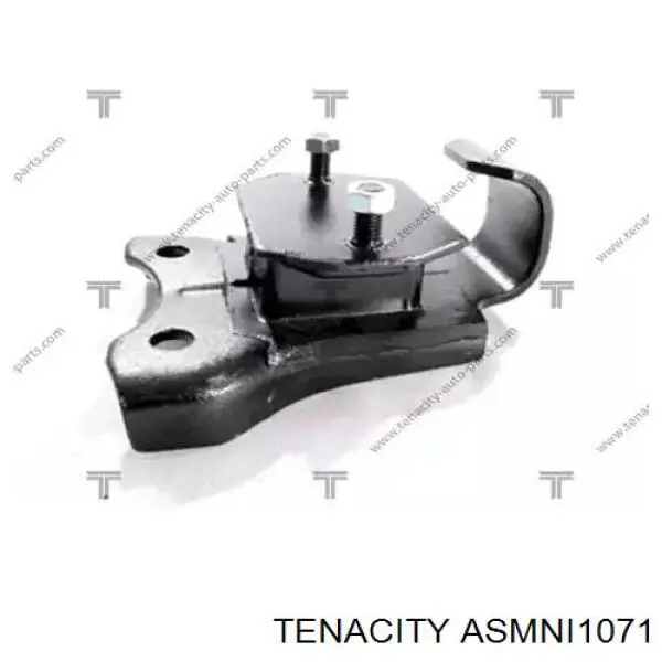 Suporte de amortecedor dianteiro ASMNI1071 Tenacity