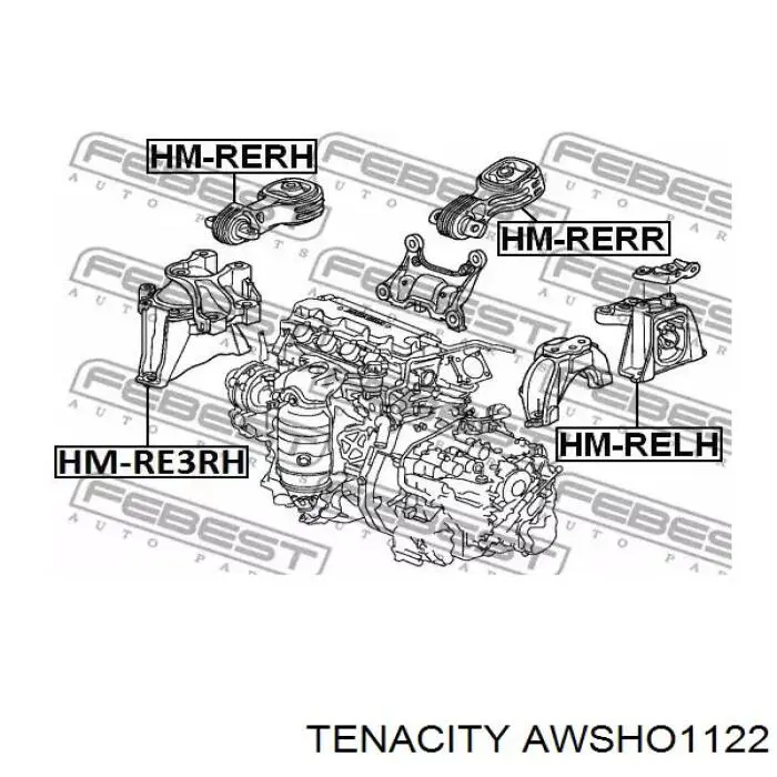 Compre AWSHO1122 Tenacity Coxim (suporte) direito inferior de motor