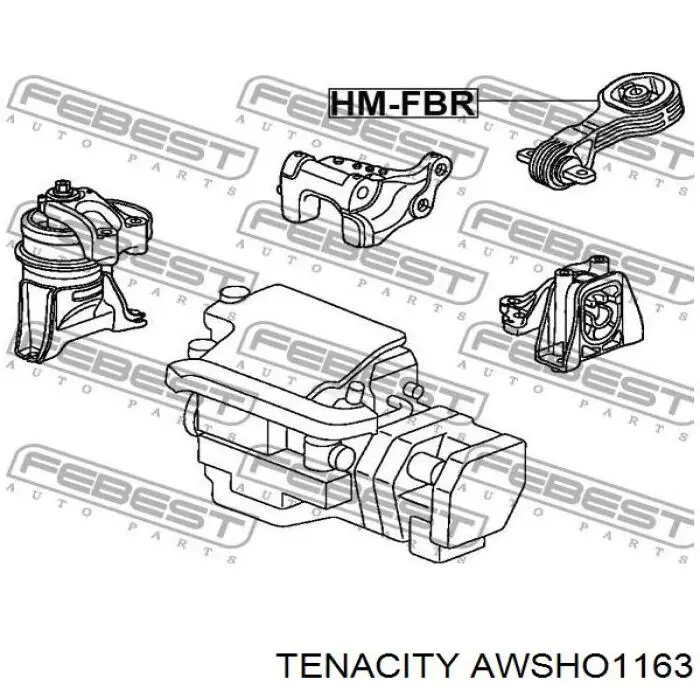 Coxim (suporte) traseiro de motor AWSHO1163 Tenacity