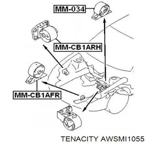 Compre AWSMI1055 Tenacity Coxim (suporte) traseiro de motor