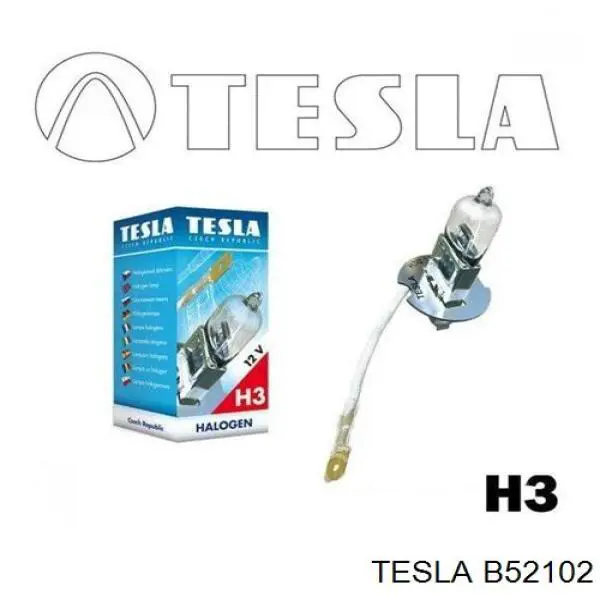 Compre B52102 Tesla Lâmpada
