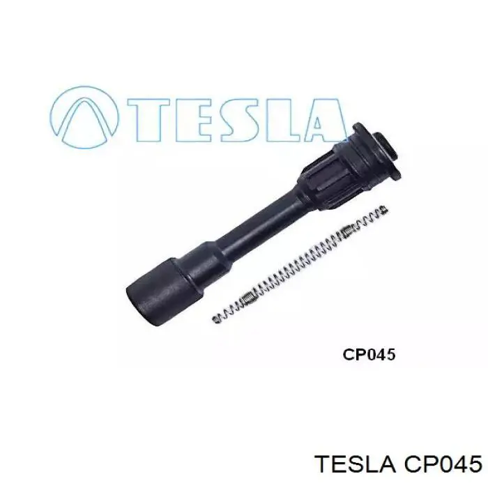 CP045 Tesla Ponta da vela de ignição