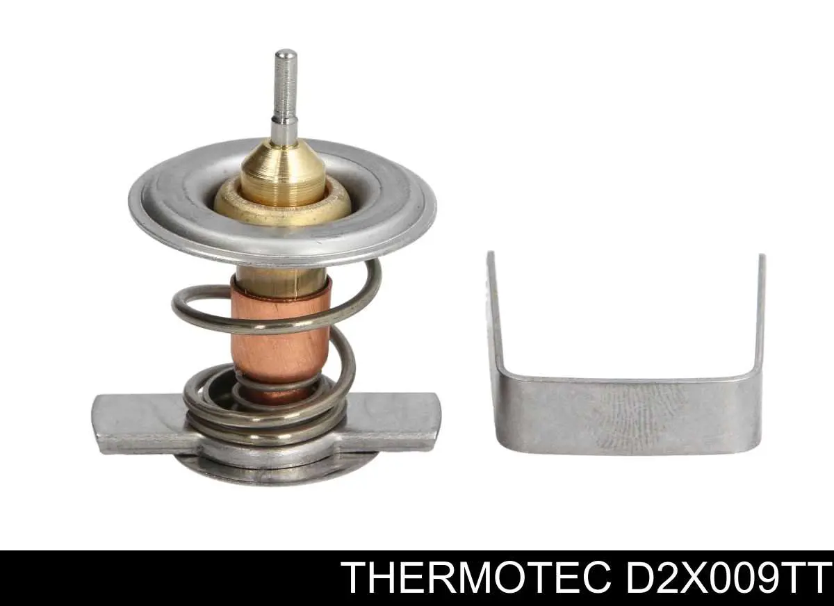 D2X009TT Thermotec Termostato