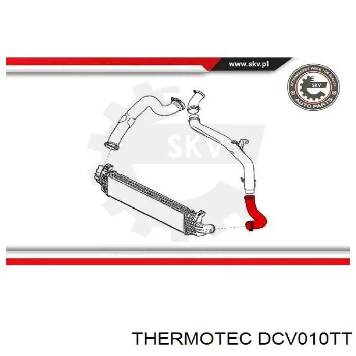 Compre DCV010TT Thermotec Mangueira (cano derivado) de intercooler