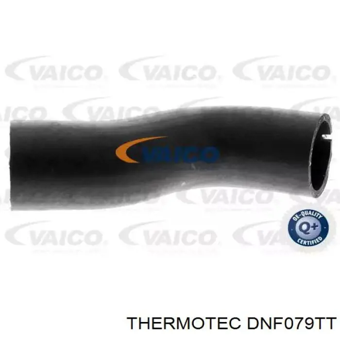 Mangueira (cano derivado) de intercooler 51810863 Fiat/Alfa/Lancia
