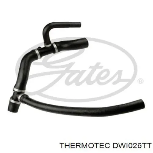 Mangueira (cano derivado) do radiador de esfriamento superior DWI026TT Thermotec