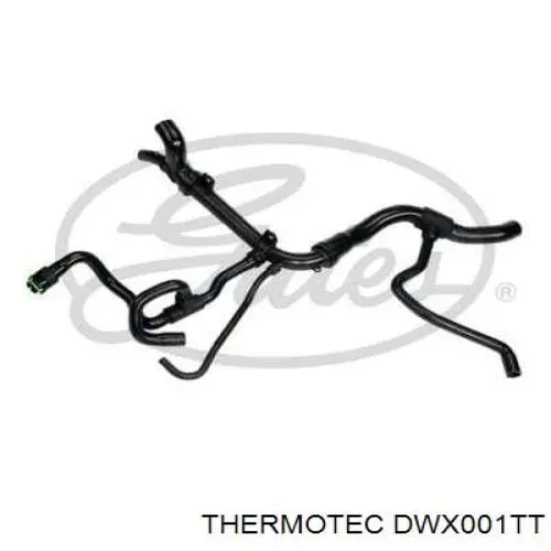Compre DWX001TT Thermotec Mangueira (cano derivado) inferior do radiador de esfriamento