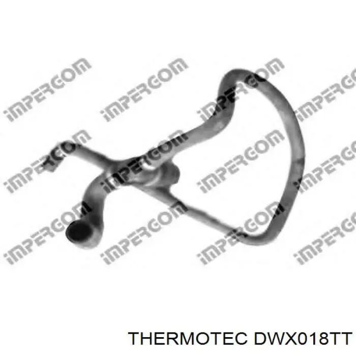 Compre DWX018TT Thermotec Mangueira (cano derivado) inferior do radiador de esfriamento