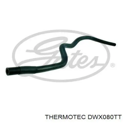 Mangueira (cano derivado) inferior do radiador de esfriamento Thermotec DWX080TT preço, a partir de 12,21 USD