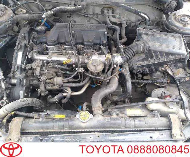 Compre 0888080845 Toyota Óleo para motor