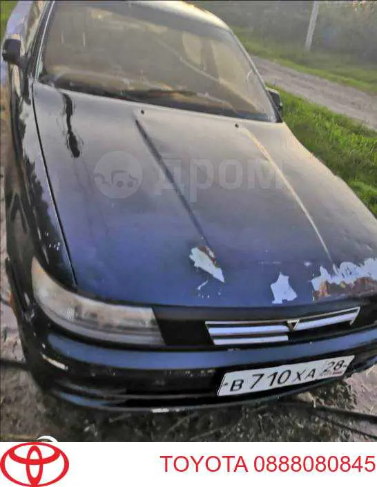 Óleo para motor 0888080845 Toyota