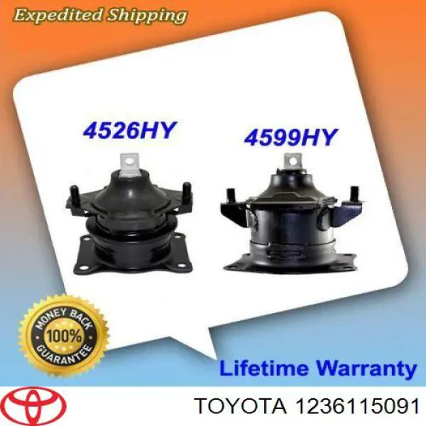 Coxim (suporte) dianteiro de motor AWSTO1128 Tenacity
