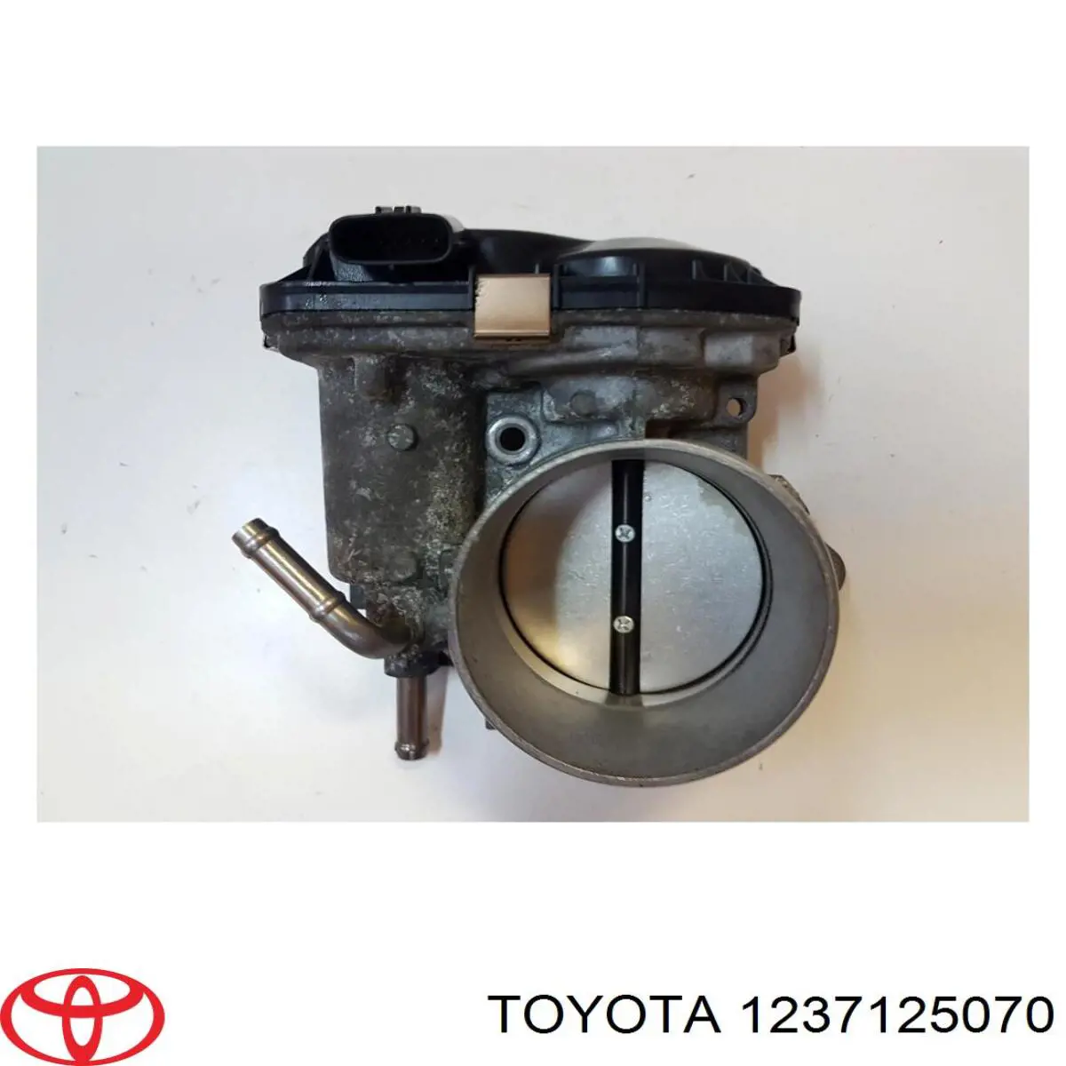 Coxim (suporte) traseiro de motor Toyota RAV4 V A5,H5