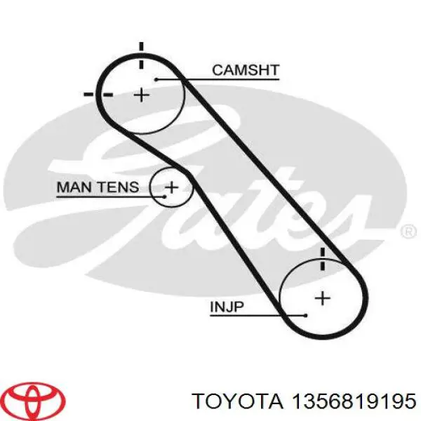 1356819195 Toyota Correia do mecanismo de distribuição de gás