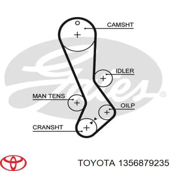 Correia do mecanismo de distribuição de gás Toyota 1356879235 preço, a partir de 48,90 USD
