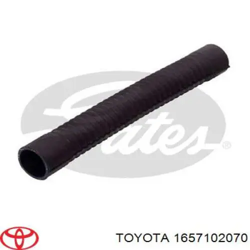 1657102070 Toyota Mangueira (cano derivado) do radiador de esfriamento superior
