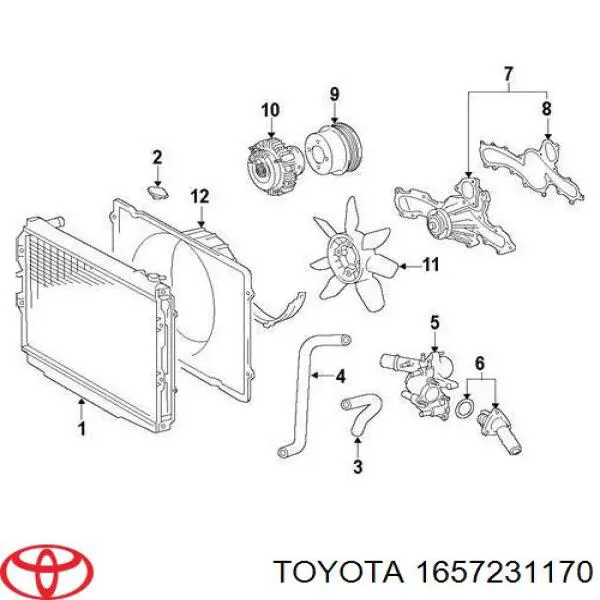 Mangueira (cano derivado) inferior do radiador de esfriamento Toyota 1657231170 preço, a partir de 32,65 USD