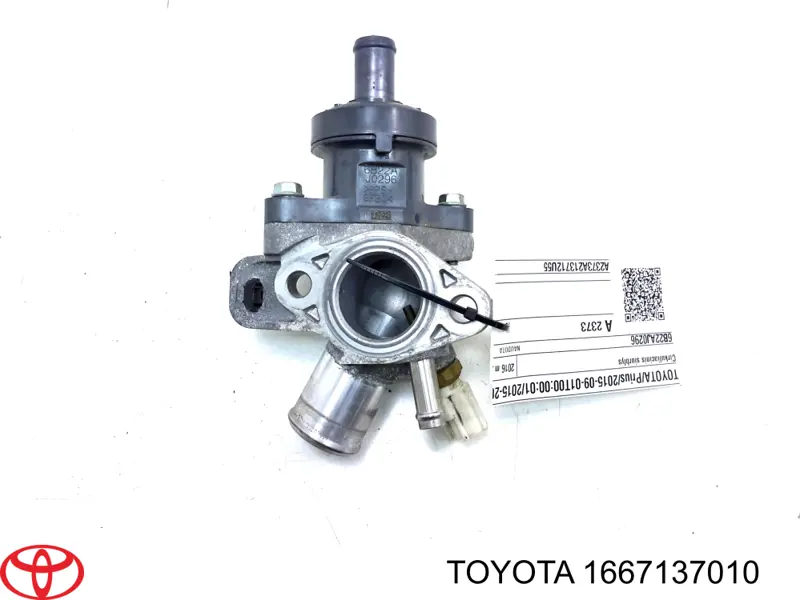 1667137010 Toyota 