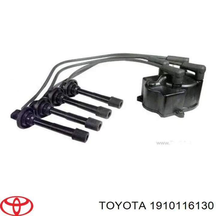 1910116130 Toyota Tampa de distribuidor de ignição (distribuidor)