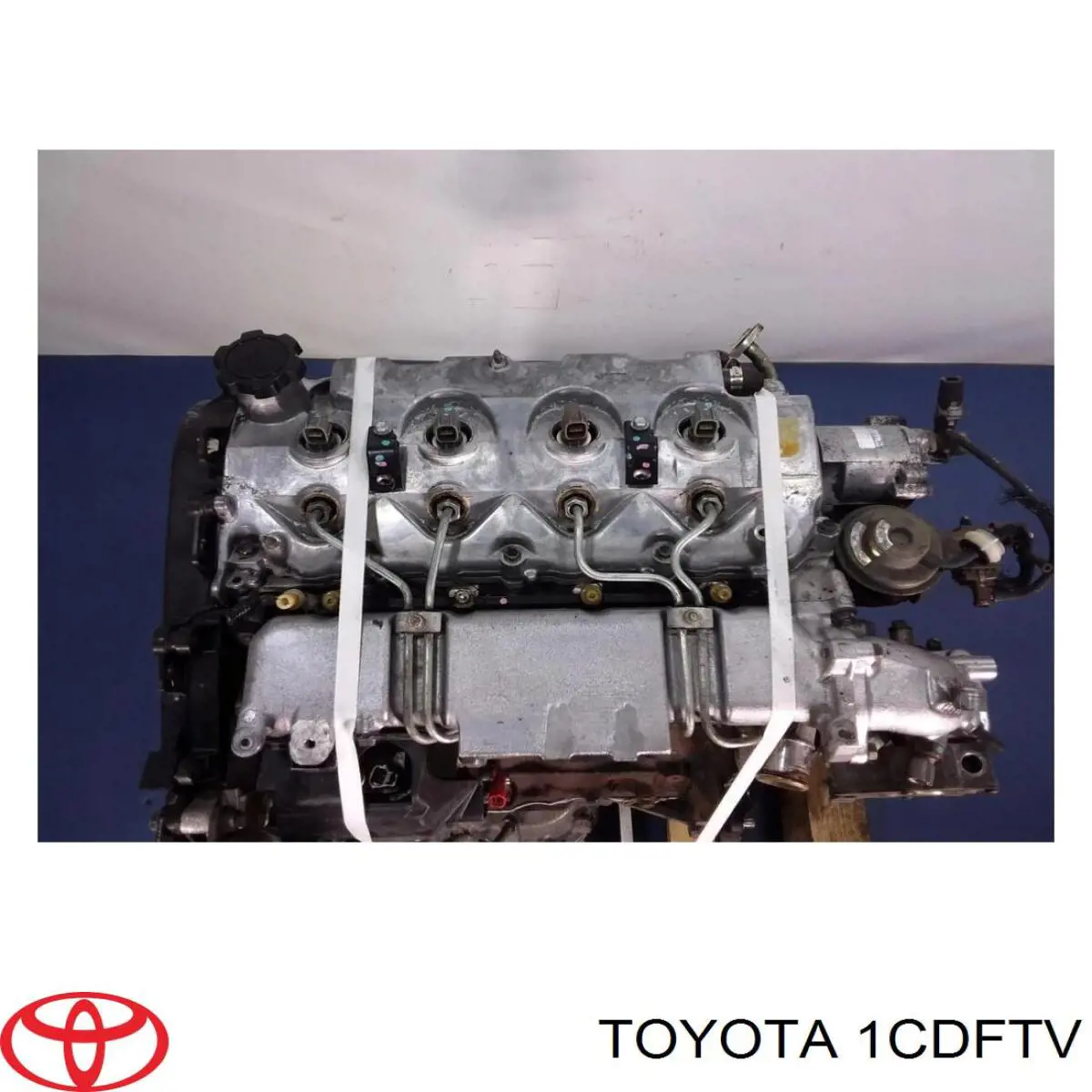 Compre 1CDFTV Toyota Motor montado