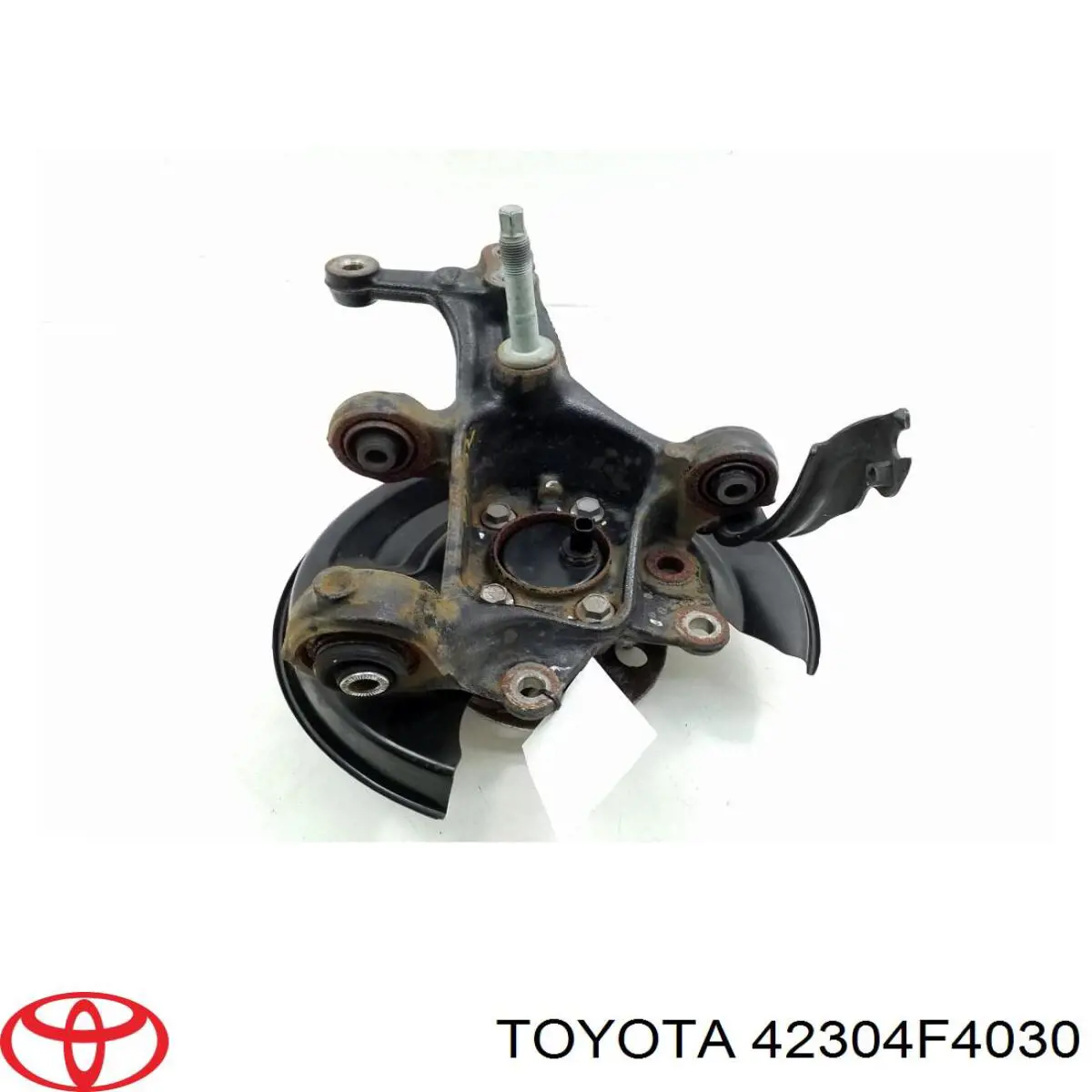 42304F4030 Toyota Pino moente (extremidade do eixo) traseiro direito