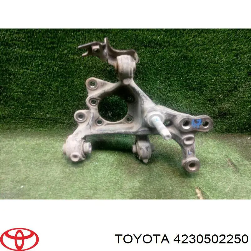 4230502250 Toyota Pino moente (extremidade do eixo) traseiro esquerdo