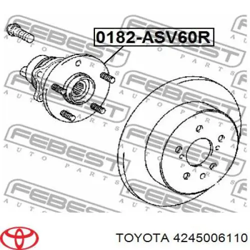 4245006110 Toyota Cubo traseiro direito