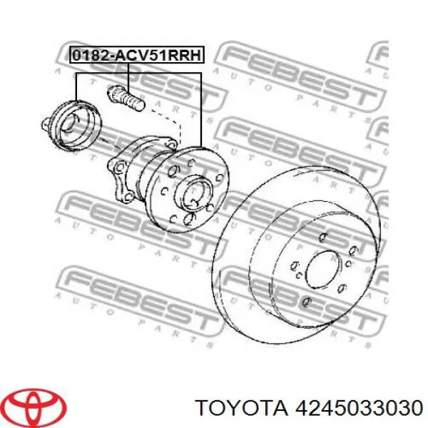 4245033030 Toyota Cubo traseiro direito