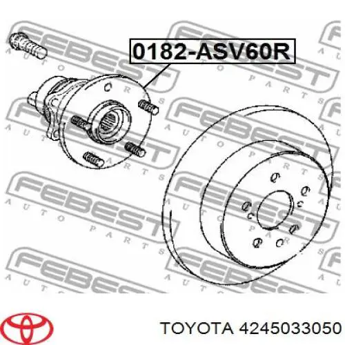4245033050 Toyota Cubo traseiro direito