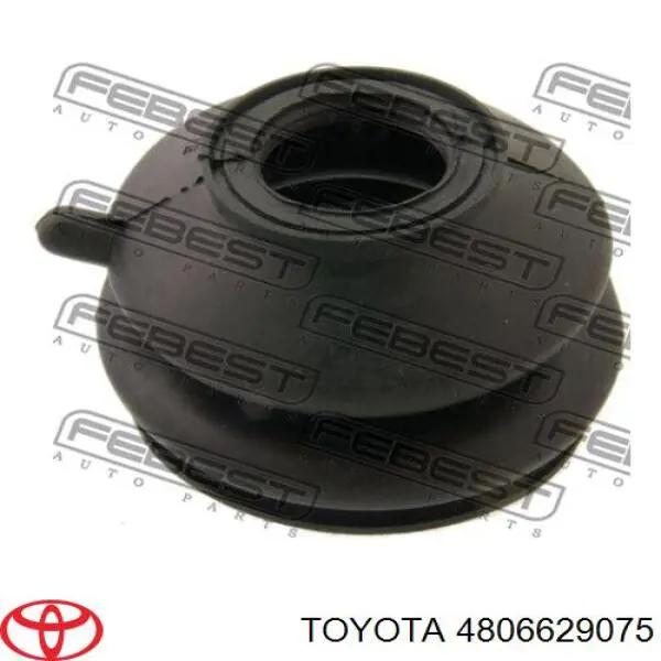 Compre 4806629075 Toyota Braço oscilante superior direito de suspensão dianteira