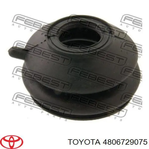 Braço oscilante superior esquerdo de suspensão dianteira 4806729075 Toyota