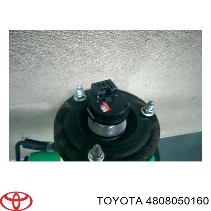 Compre 4808050160 Toyota Amortecedor traseiro direito