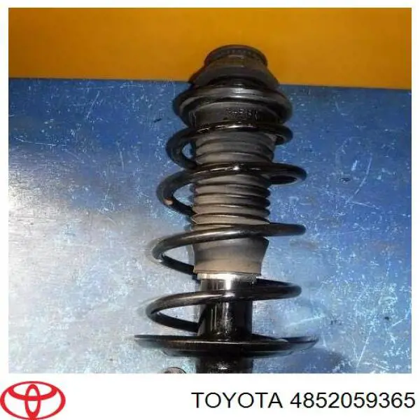 4852059365 Toyota Amortecedor dianteiro esquerdo