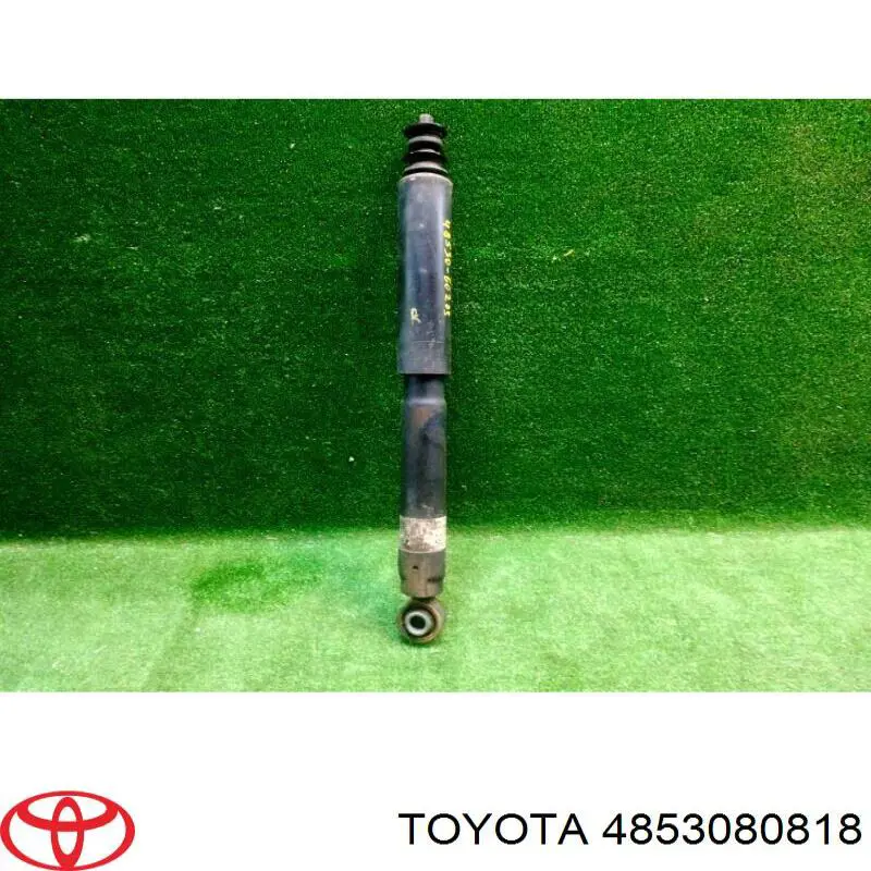 4853060203 Toyota Amortecedor traseiro