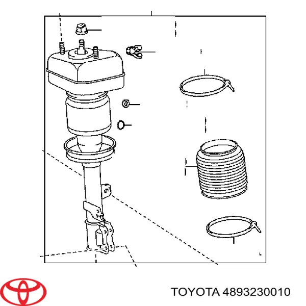 4893230010 Toyota Vedante de bomba de óleo