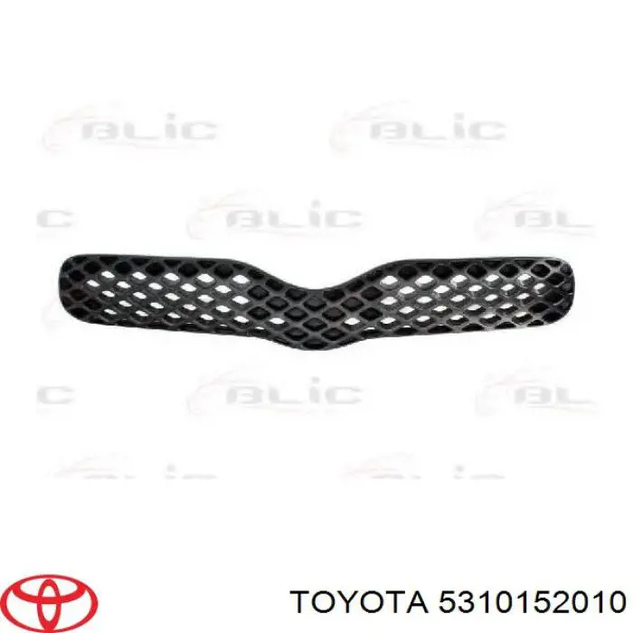 Grelha do radiador KH8109990 Starline