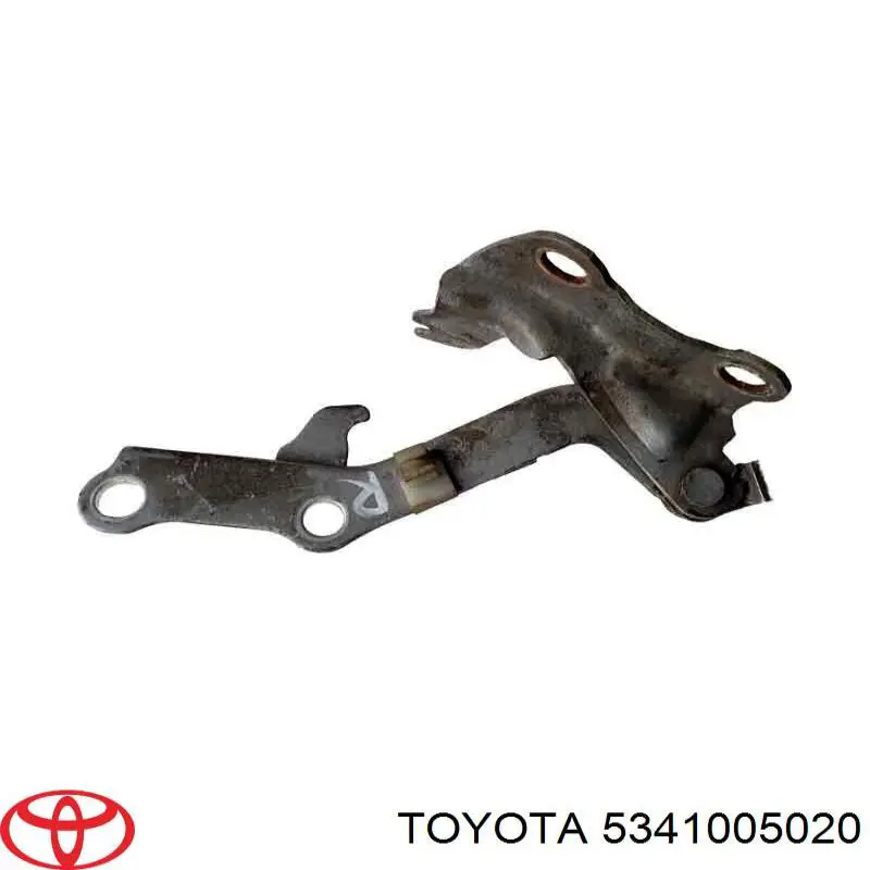 5341005020 Toyota Gozno da capota direito
