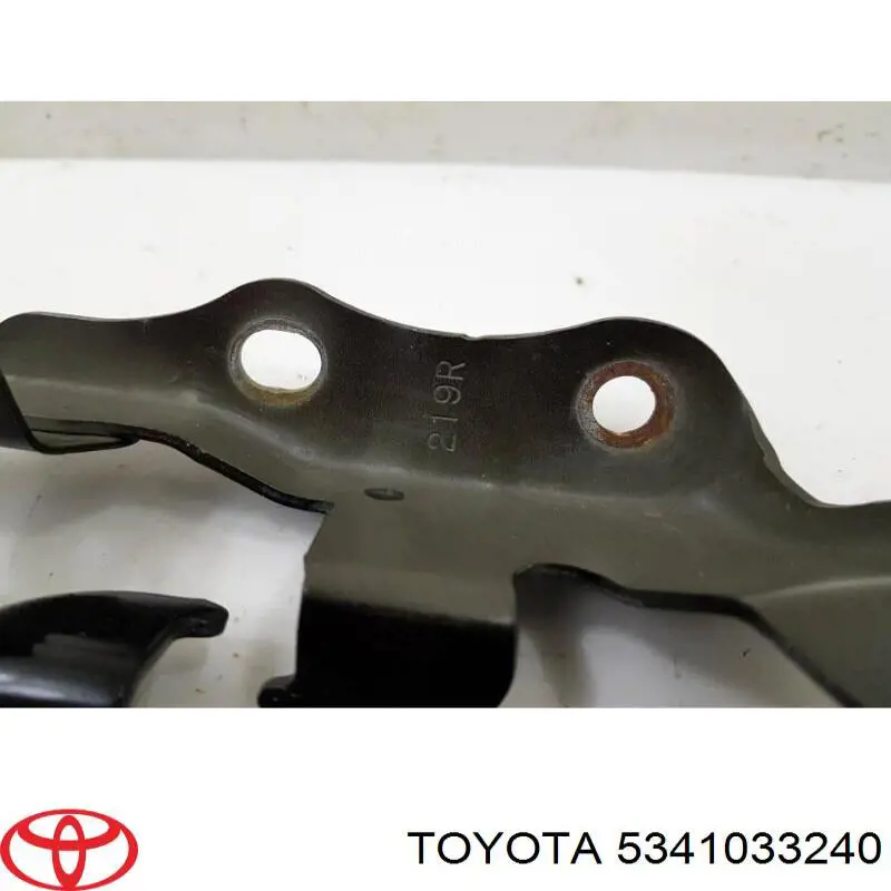 Compre 5341033240 Toyota Gozno da capota direito