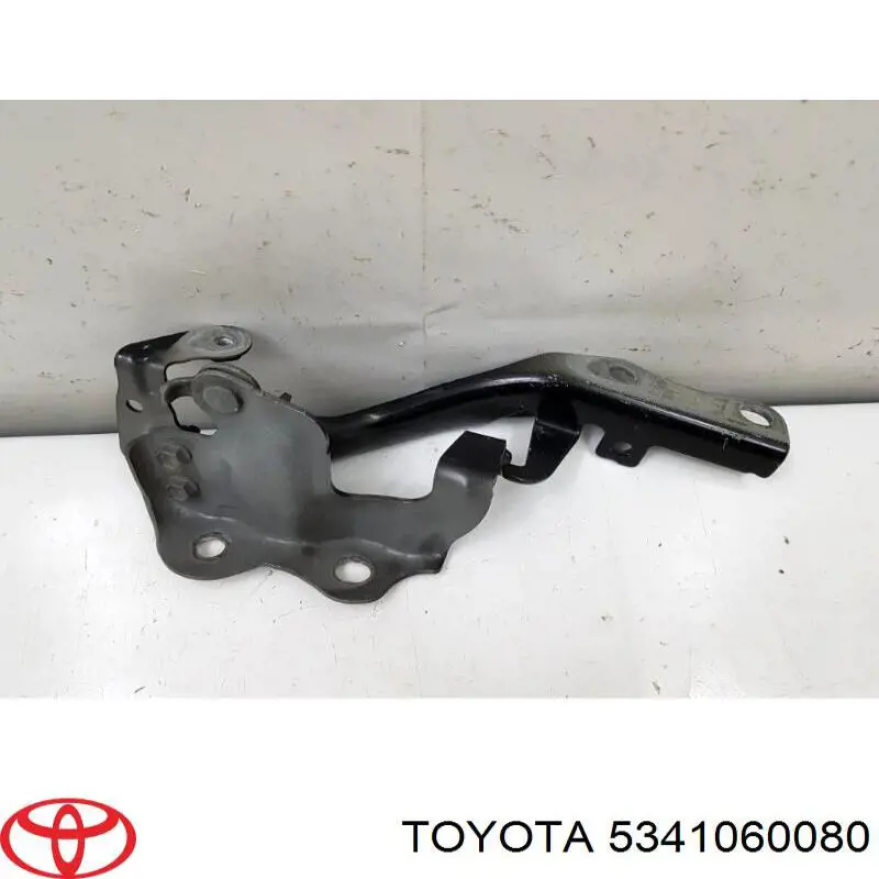 5341060080 Toyota Gozno da capota direito