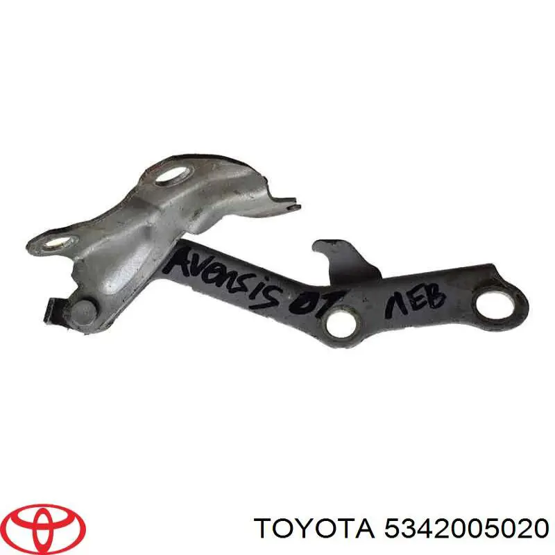 5342005020 Toyota Gozno da capota esquerdo