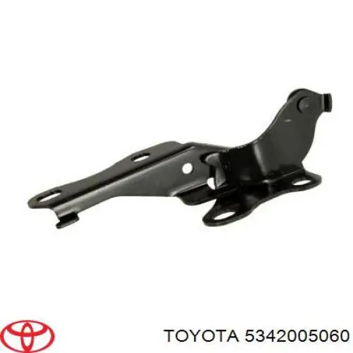 5342005060 Toyota Gozno da capota esquerdo