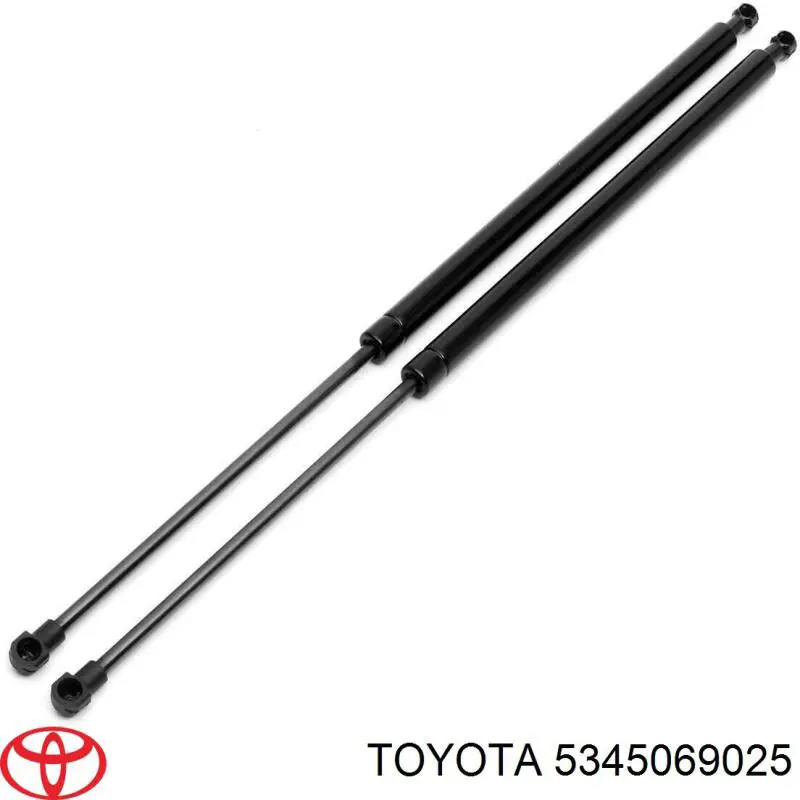 Compre 1B827044 AND Amortecedor da capota
