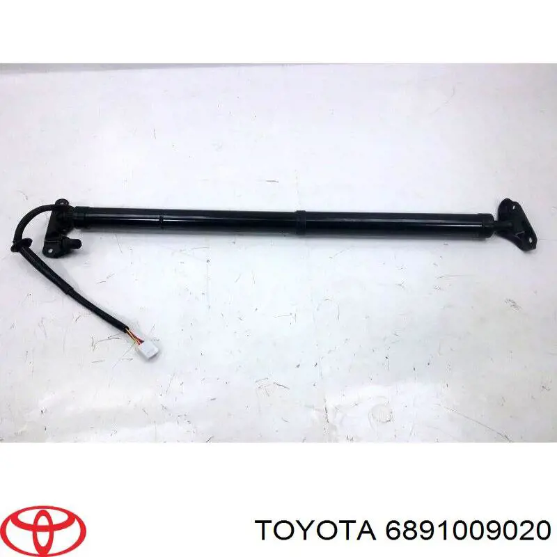 6891009020 Toyota Amortecedor de tampa de porta-malas (de 3ª/5ª porta traseira)