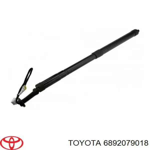 6892079019 Toyota Amortecedor de tampa de porta-malas (de 3ª/5ª porta traseira)